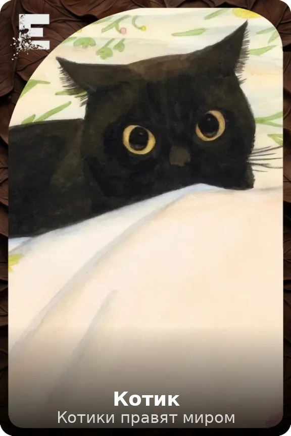Котик
