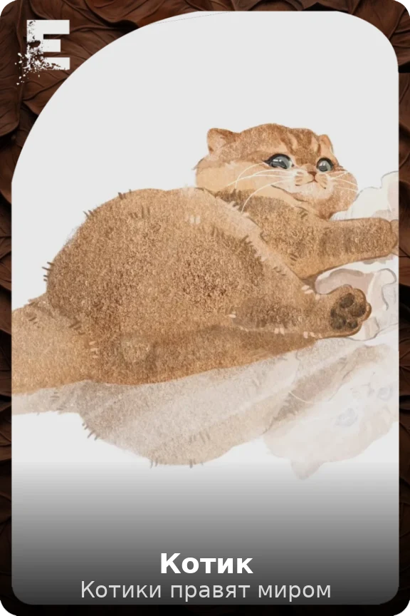 Котик