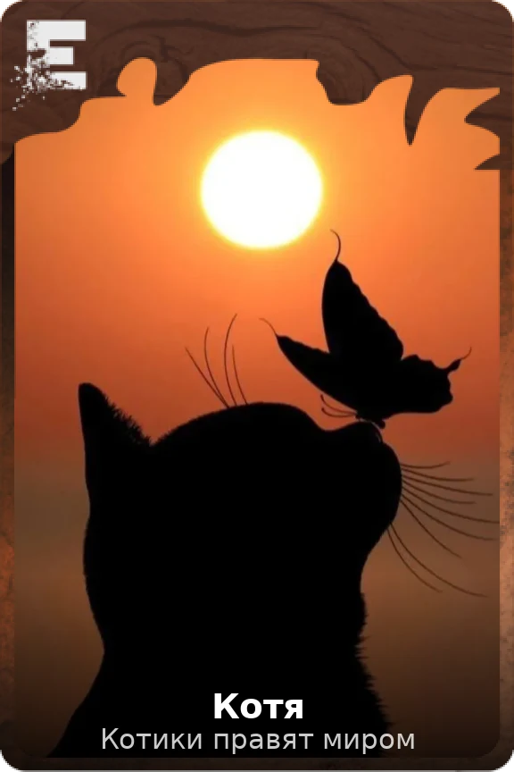 Котя