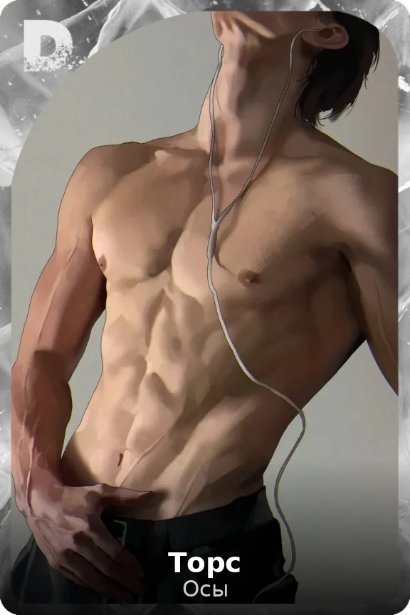 Торс