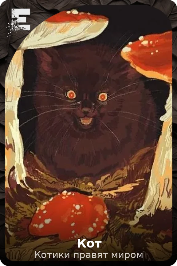 Кот