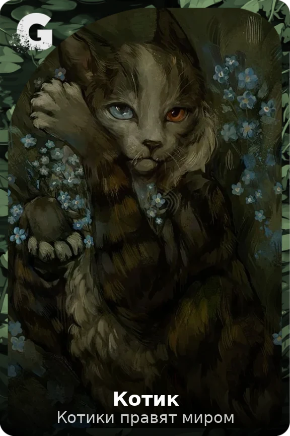 Котик