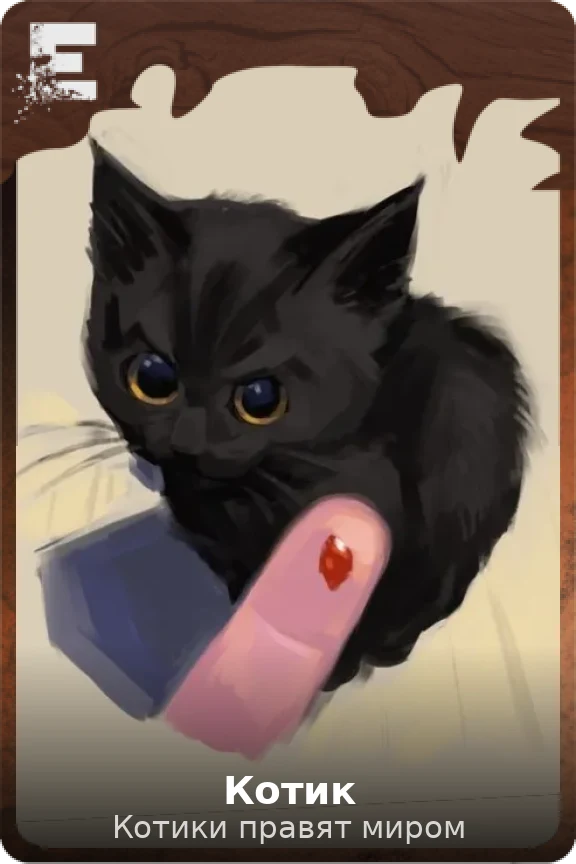 Котик