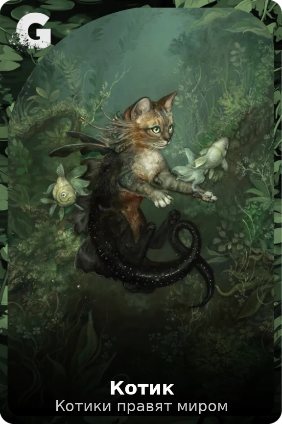 Котик