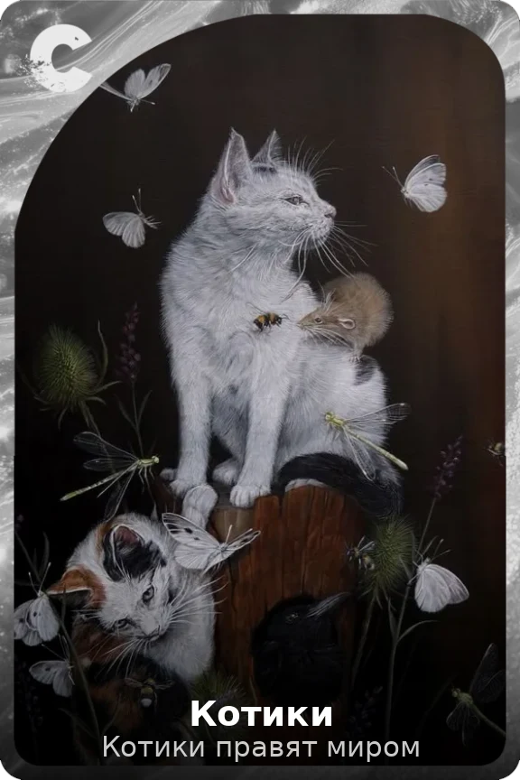 Котики