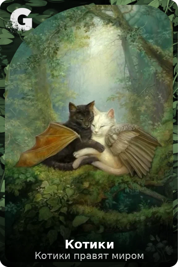 Котики