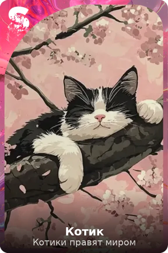Котик