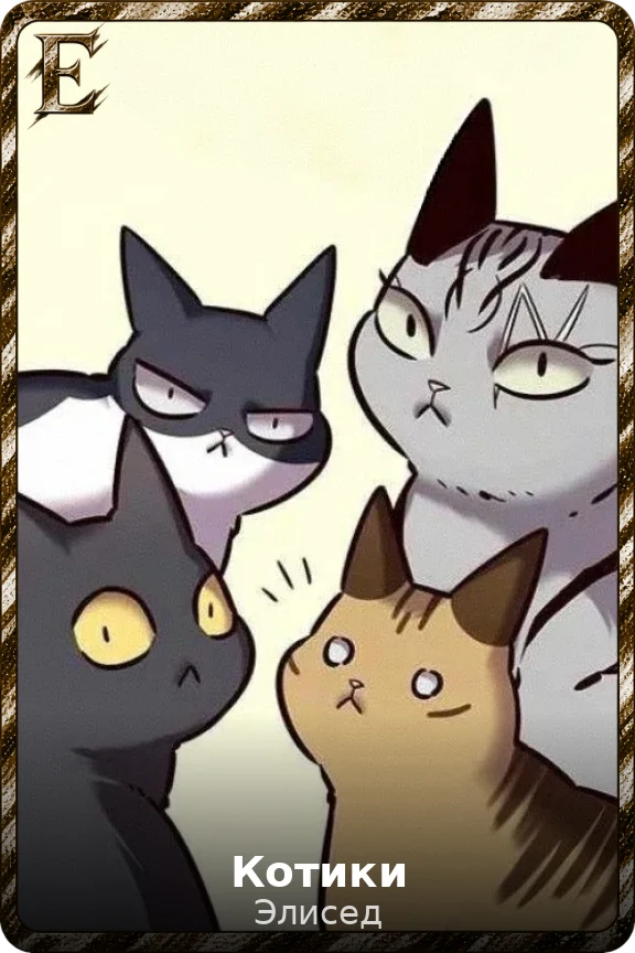 Котики