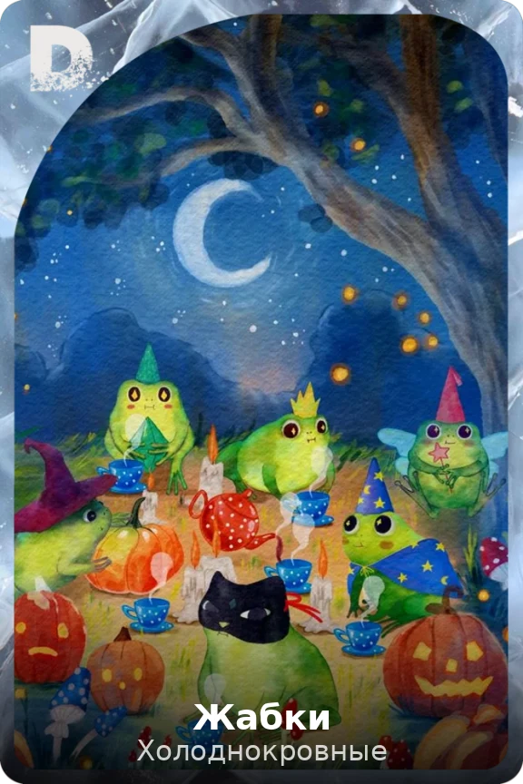 Жабки