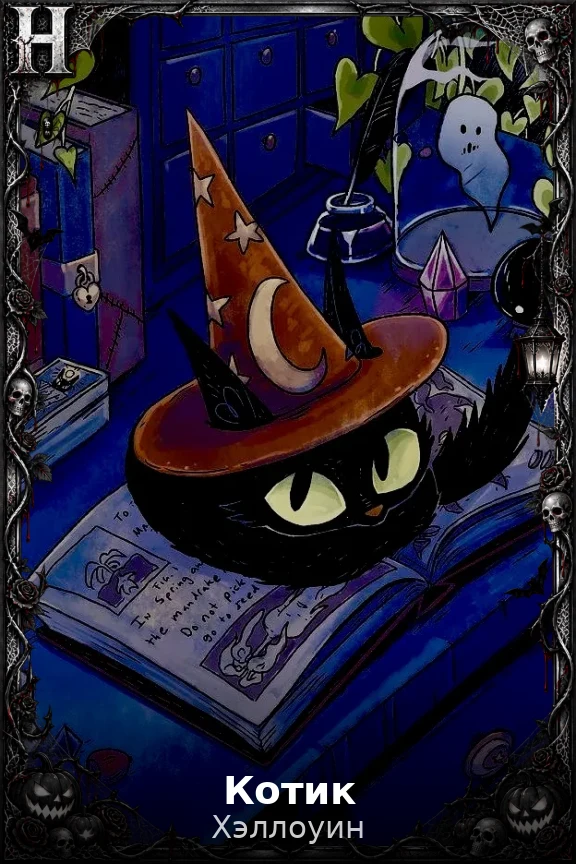 Котик