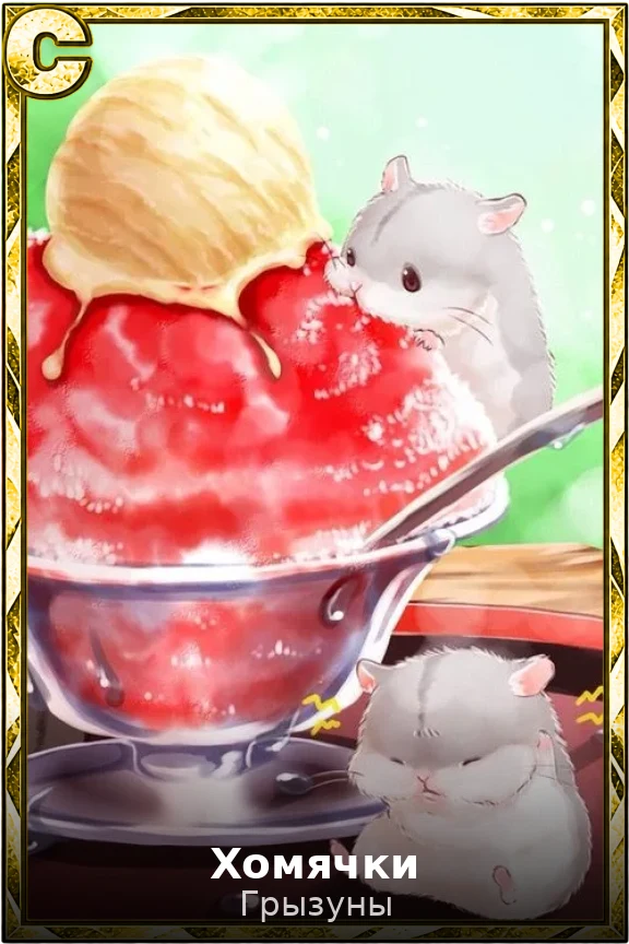 Хомячки