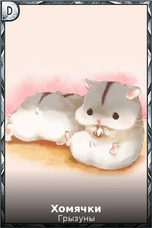 Хомячки