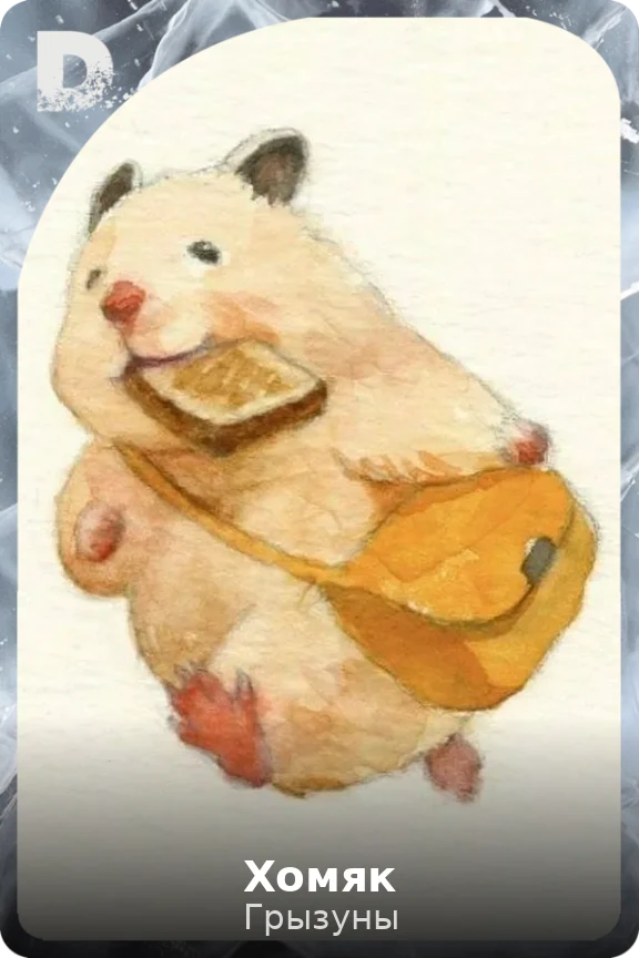 Хомяк