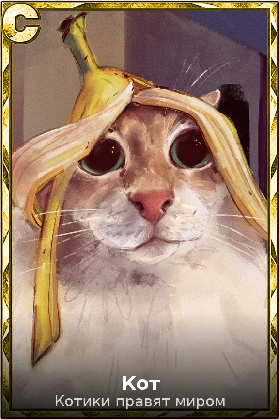 Кот