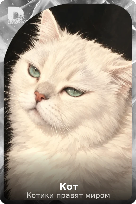 Кот