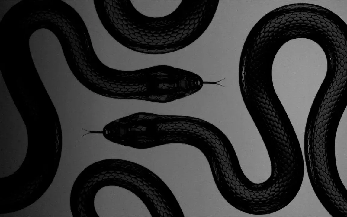 Обложка серии «Hot Snakes»