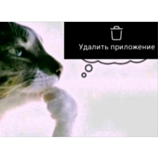 Стикер