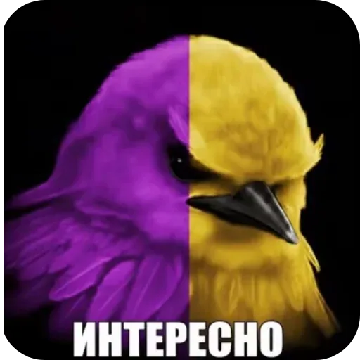 Стикер